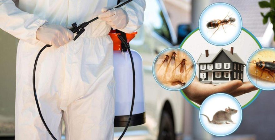 Yıldızeli Böcek İlaçlama