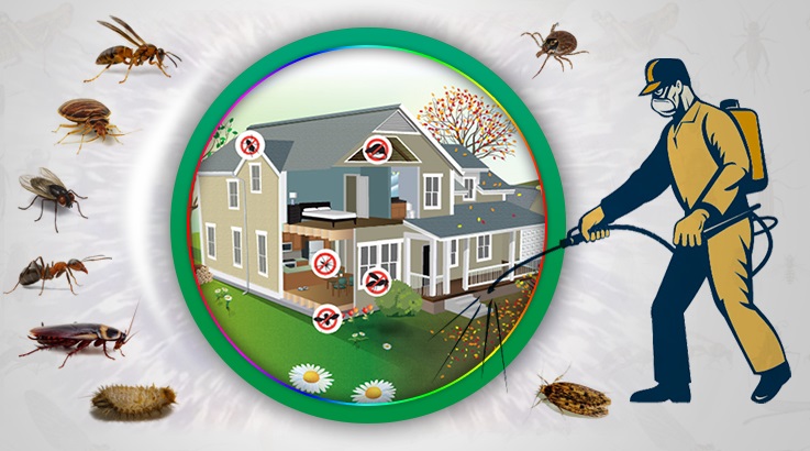 Yıldızeli Böcek İlaçlama