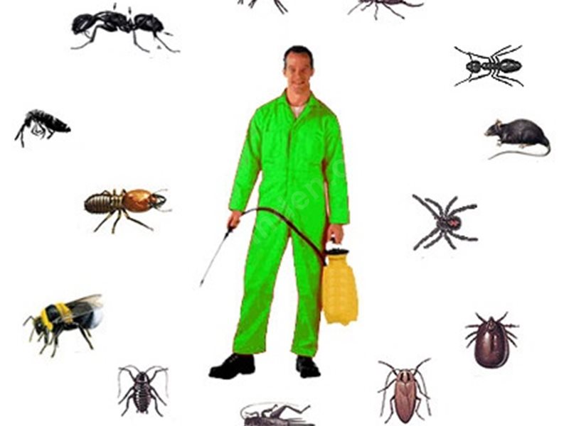 Yıldızeli Böcek İlaçlama